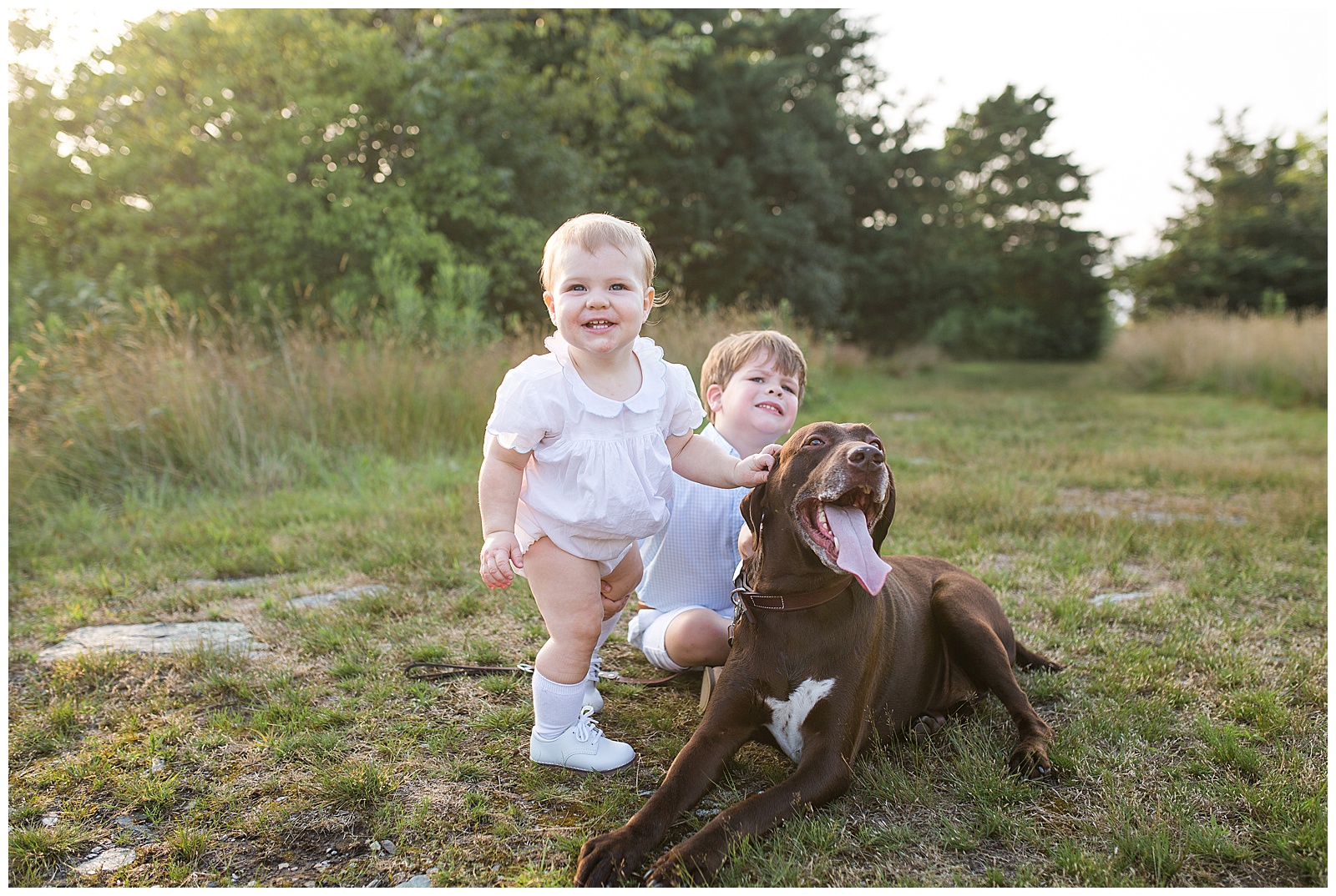 little boys with their family dog at their family photo session