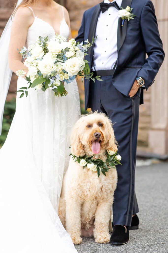 pup with flower crown at oceancliff in newport 